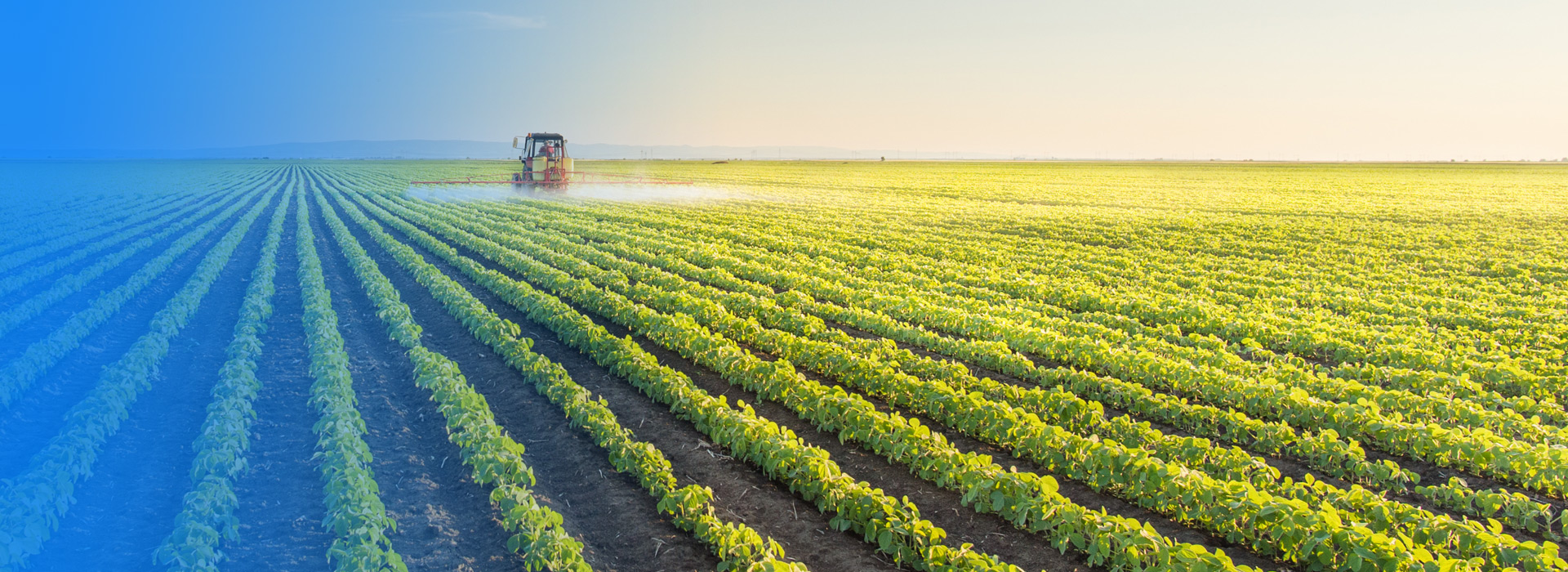 AG一飞冲天游戏农业公司