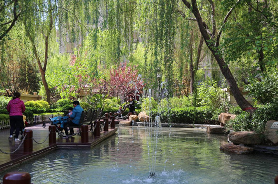 AG一飞冲天游戏集团