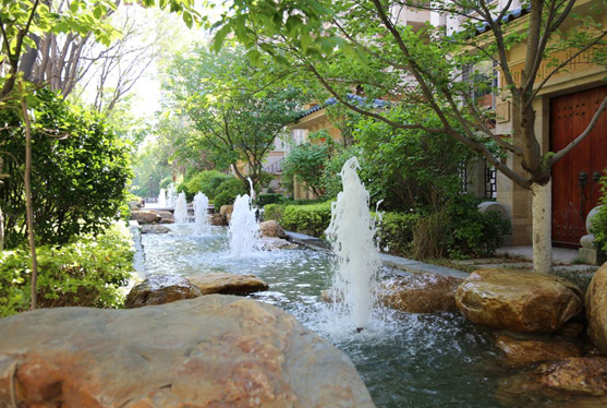 AG一飞冲天游戏集团