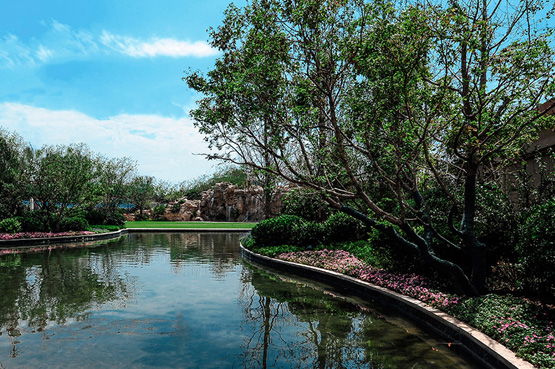 AG一飞冲天游戏集团