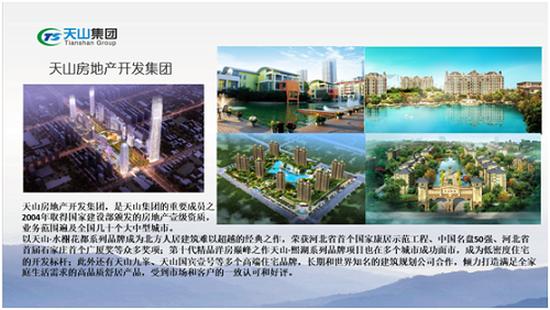 AG一飞冲天游戏集团