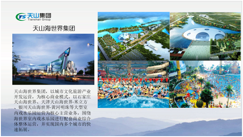 AG一飞冲天游戏集团