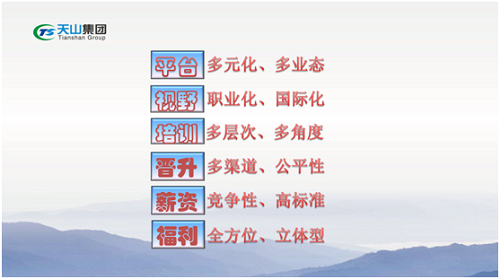 AG一飞冲天游戏集团