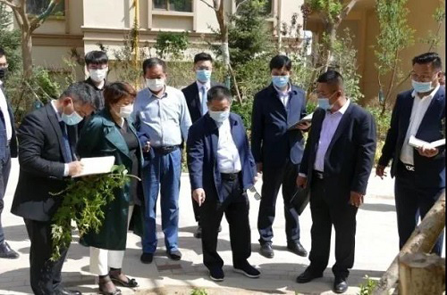 AG一飞冲天游戏集团