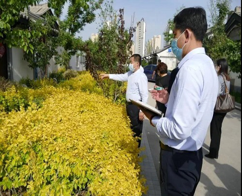 AG一飞冲天游戏集团